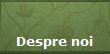 Despre noi